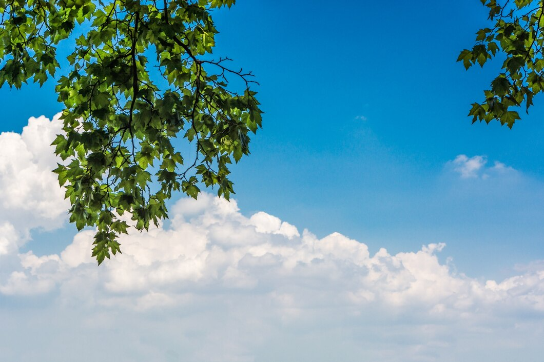 Green leaves against a bright blue sky with fluffy white clouds in the background, capturing a serene summer scene